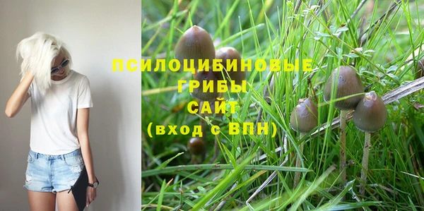 mdpv Балабаново