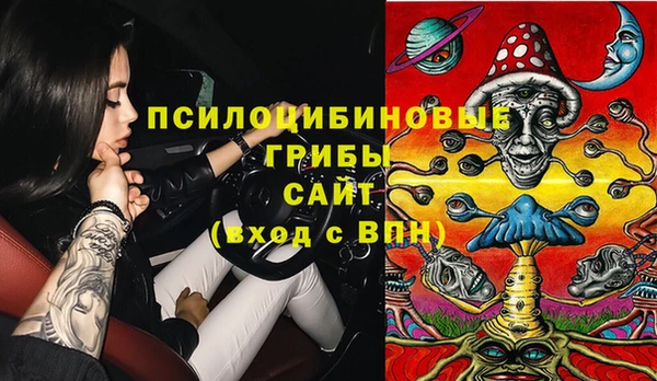 ГАЛЛЮЦИНОГЕННЫЕ ГРИБЫ Баксан