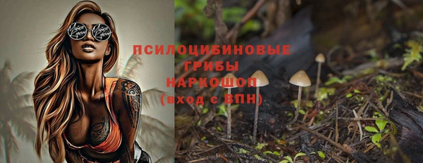 ГАЛЛЮЦИНОГЕННЫЕ ГРИБЫ Баксан