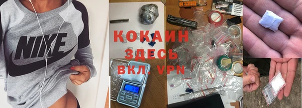 ГАЛЛЮЦИНОГЕННЫЕ ГРИБЫ Баксан